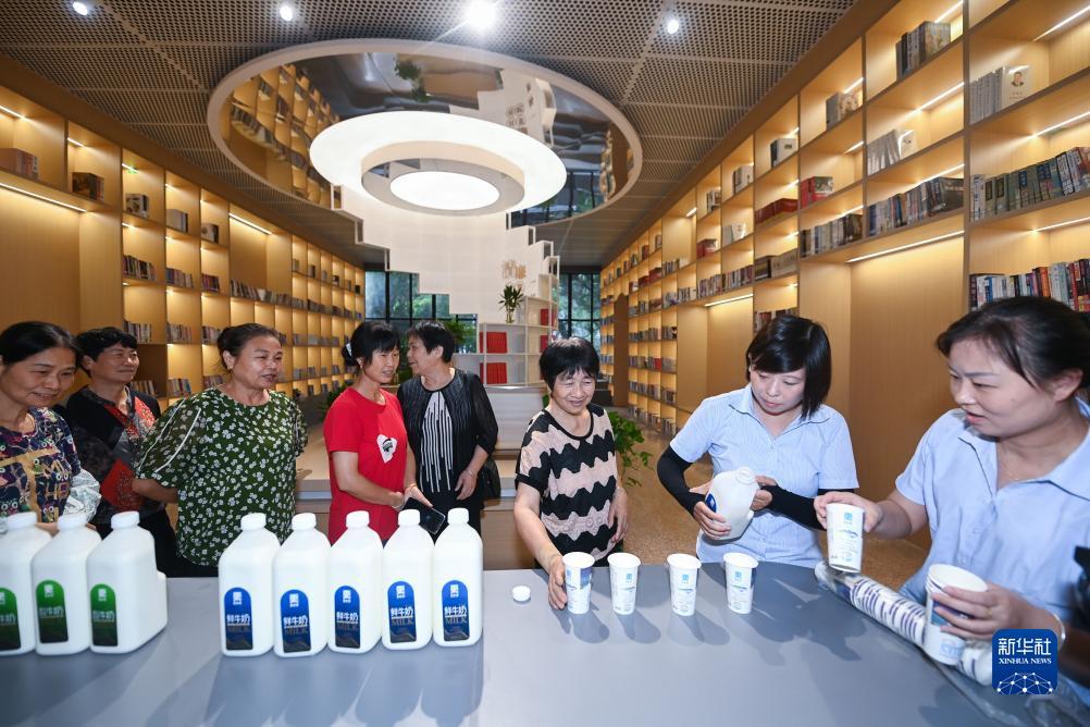手机网络网投